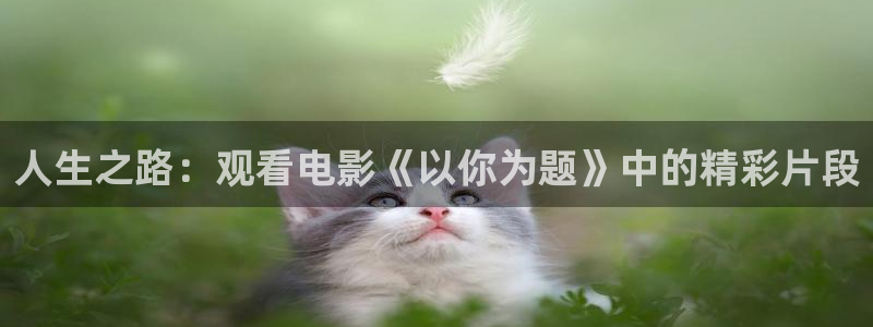 新闻图片