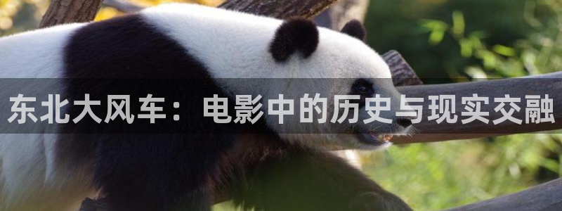 神马影