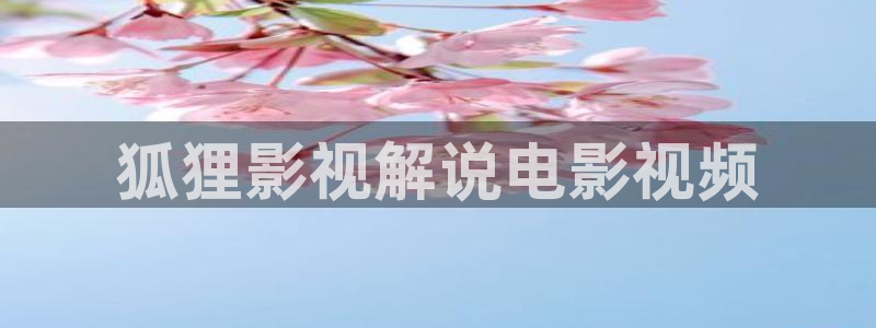神马影院悟空