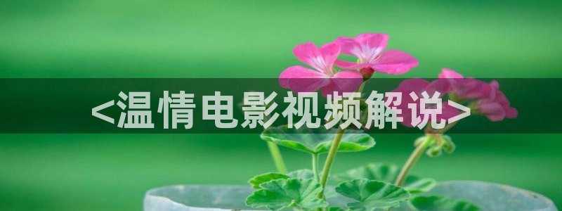 神马电影院在线
