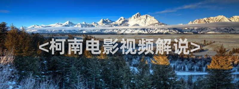 热情的邻居神马影视