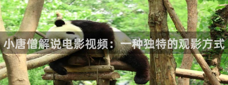 八戒八戒神马影院在线观看