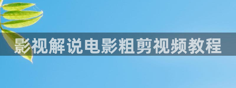 神马影院免费神马电影院