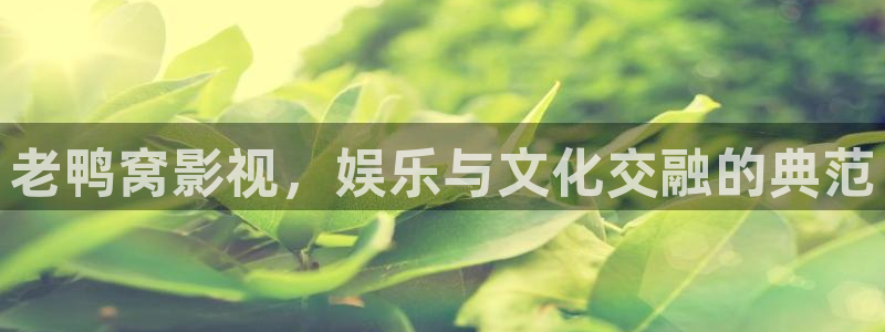 新闻图片