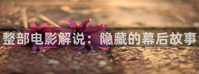新闻图片