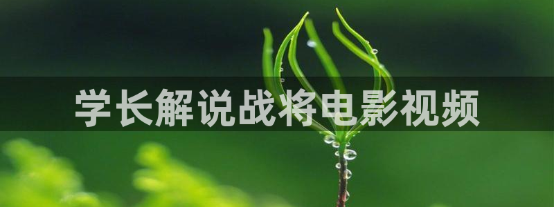 新闻图片